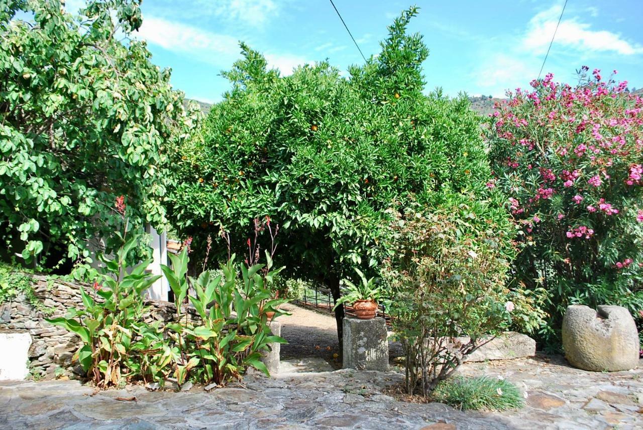 Casa De Mendiz Villa Vale de Mendiz Kültér fotó